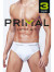 Трусы мужские Primal PRIMAL S1201 (3 шт.) slip